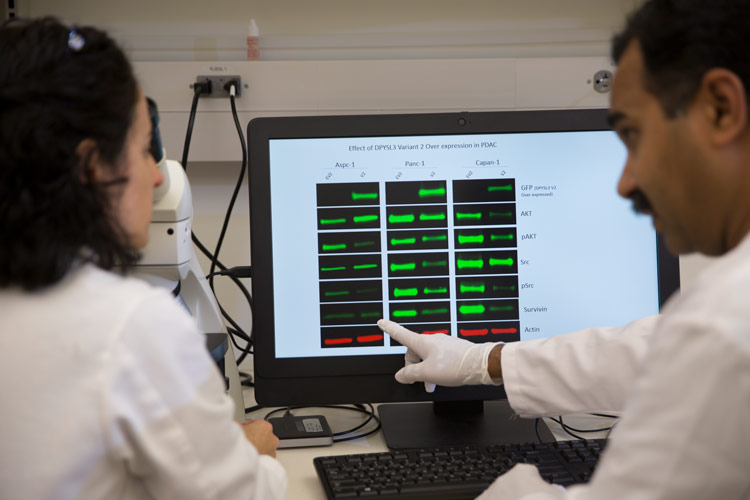 Pair of scientists working on a computer